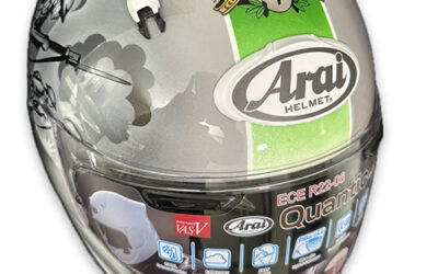 Custom Painted Helmet